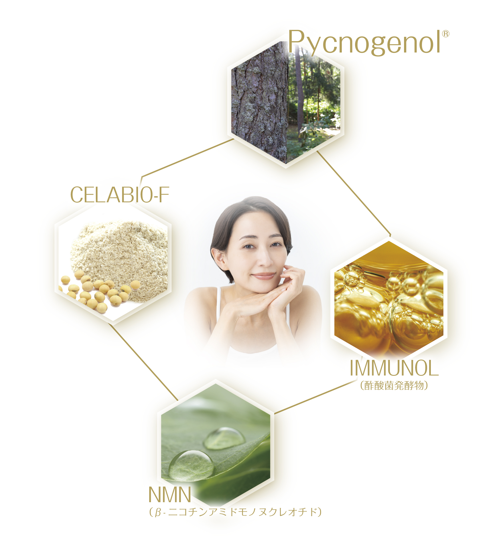 No.9 Premium 9種類の自然由来素材イメージ